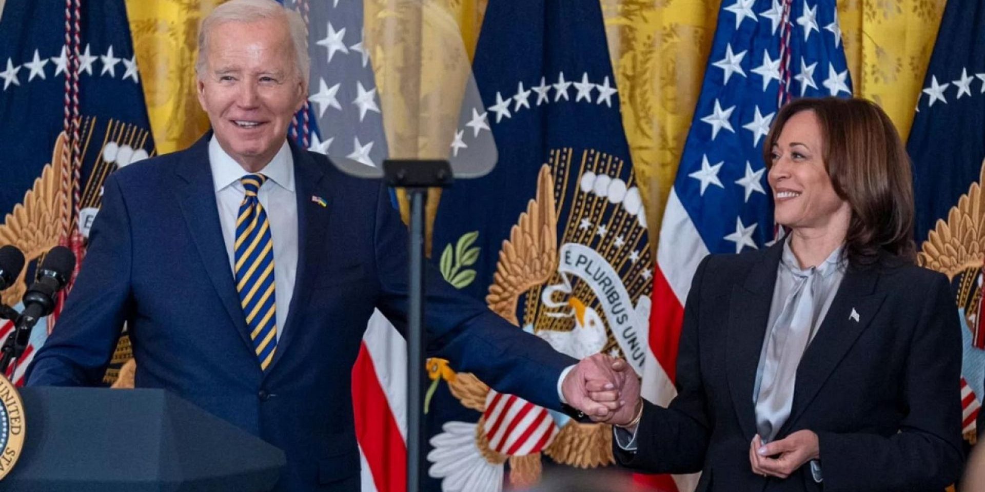 اگر بایدن کنار بکشد