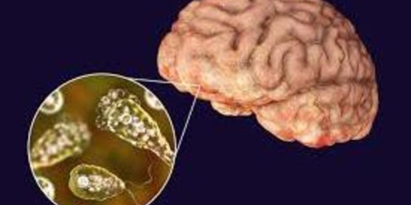 تغییرات اقلیمی منجر به گسترش